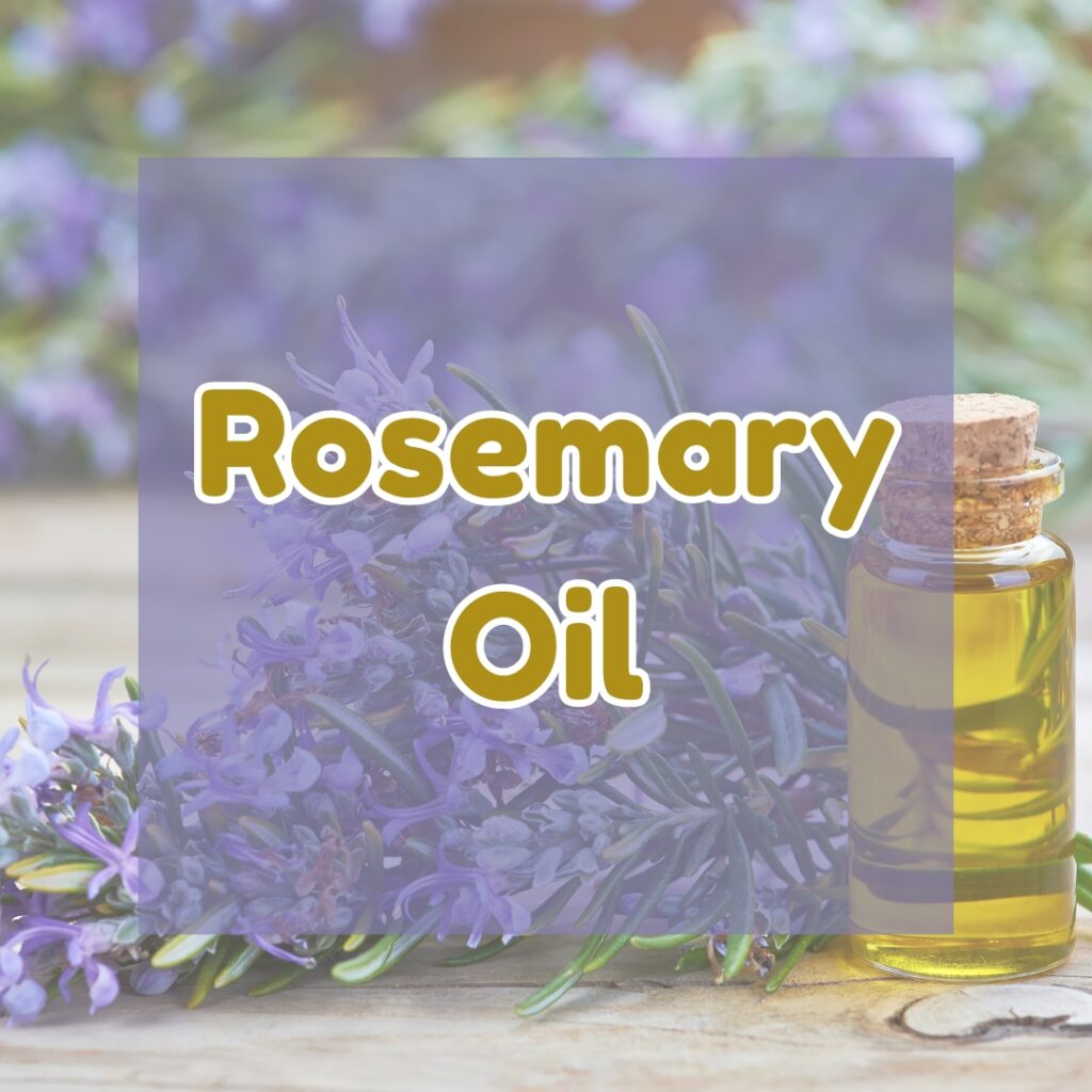 Rosemary Oil: A Timeless Elixir for Hair Health
